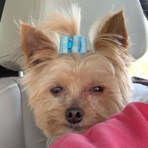 Meet your Posher, Joy